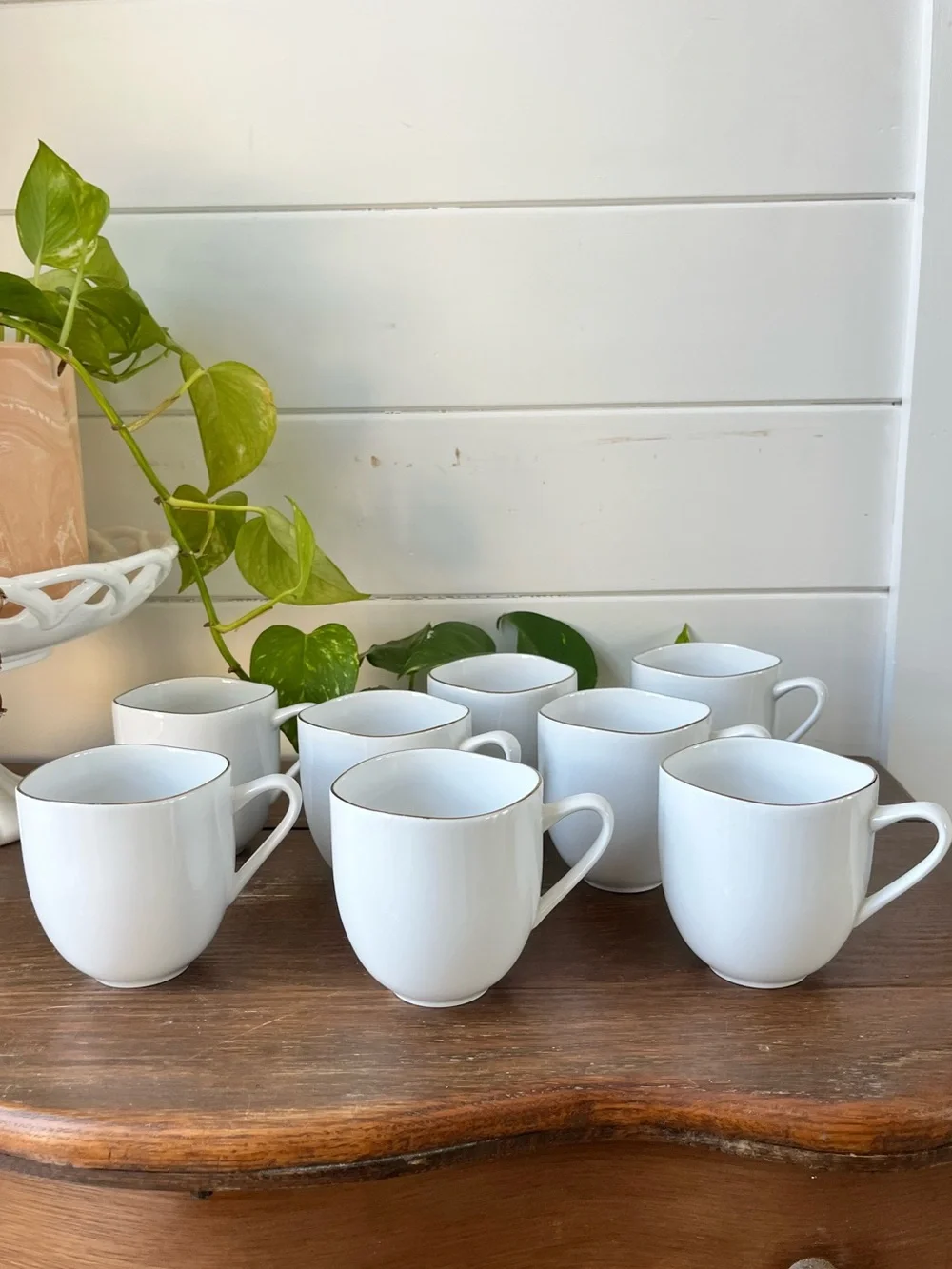 West Elm Organic white Porcelain Gold-Rimmed Mugs set of 8